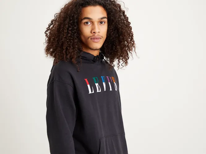 Levi’s T2 Relaxd Graphic Hoodie