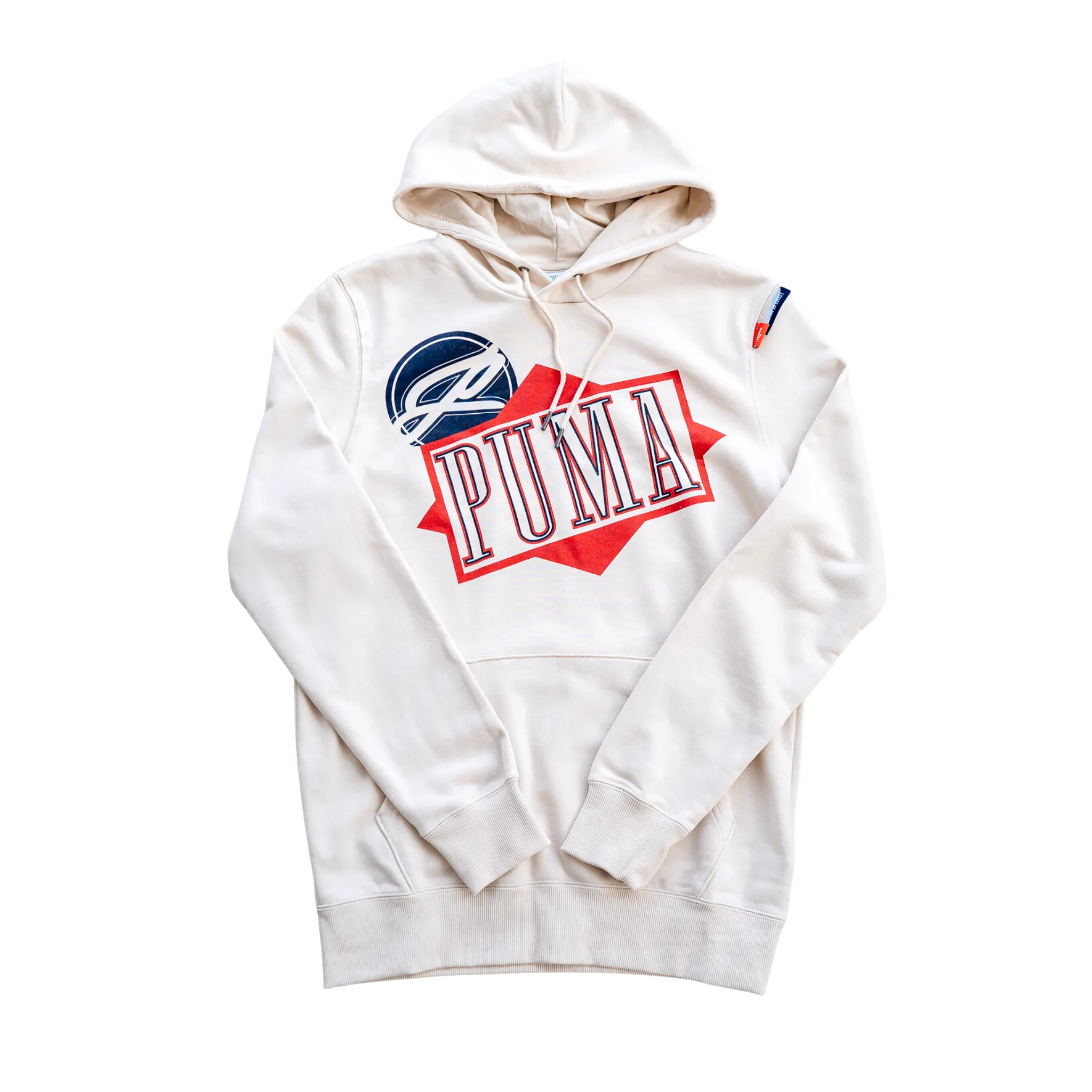 Puma Classics Graphic Hoodie (Alpine Snow)