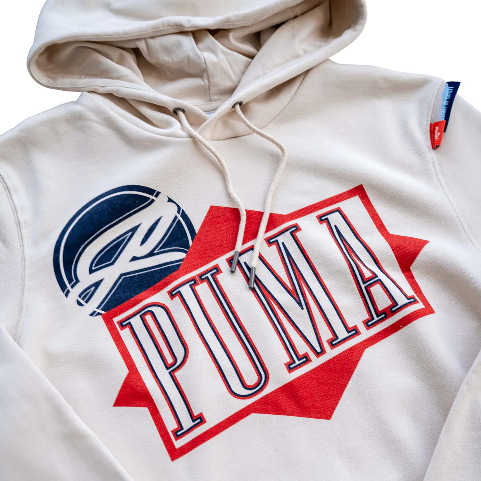 Puma Classics Graphic Hoodie (Alpine Snow)